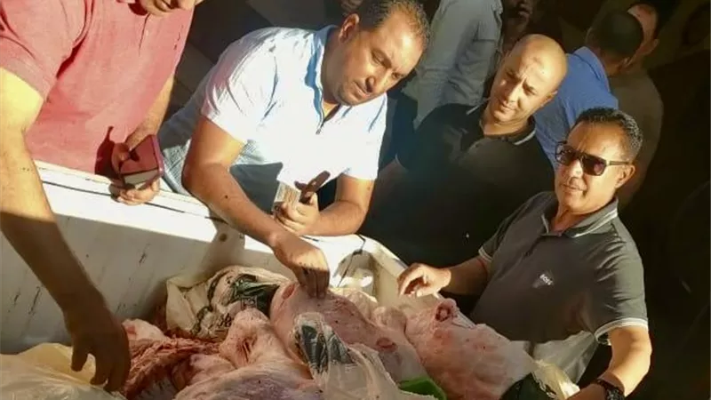 ضبط 200 كيلو لحوم ودواجن فاسدة بمطعم بير السلم بالاسماعيلية