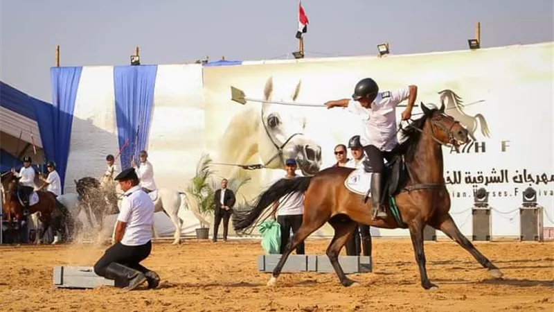 الشرقية استعدت لمهرجان الخيول العربية أول أكتوبر