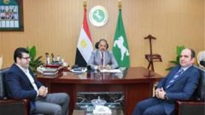 خطة للنهوض بمنظومة قطاع الكهرباء بالشرقية