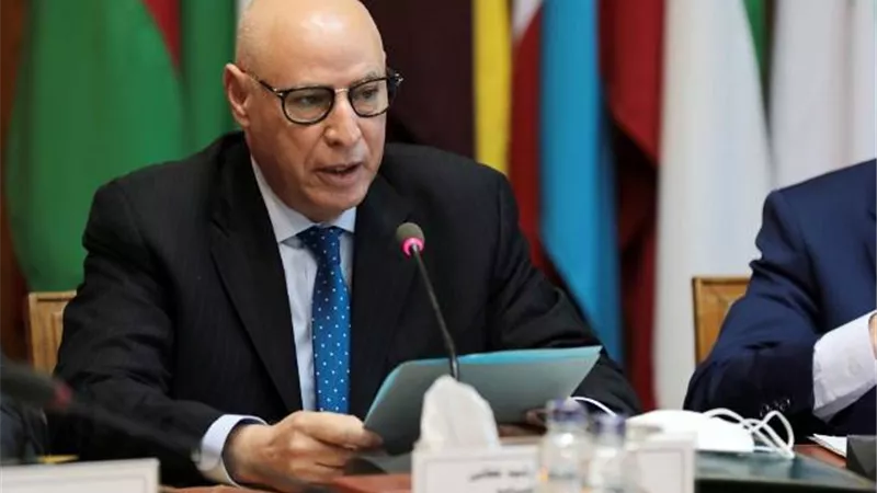 الأمين العام المساعد للجامعة العربية: فلسطين هي الاختبار الأصعب للأمم المتحدة
