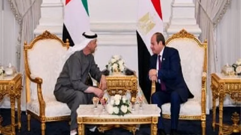 الرئيس السيسي: حريصون على تذليل كل العقبات أمام الاستثمارات الإماراتية