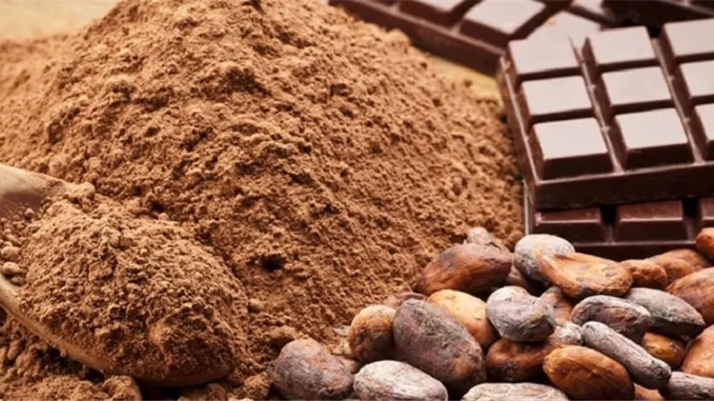 الكاكاو .. كنز غذائي غني بمضادات الأكسدة والمعادن الحيوية