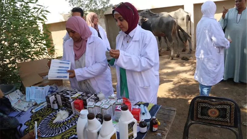 جامعة الفيوم تنظم قافلة بيطرية بقرية الناصرية بمركز الفيوم