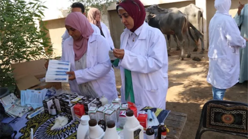 بوابة الجمهورية