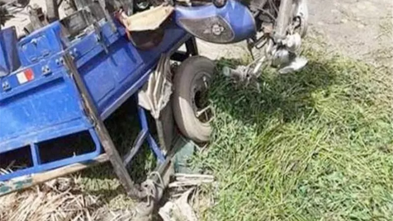 مصرع مواطن فى تصادم دراجة تروسيكل مع ميكروباص بالوادى الجديد