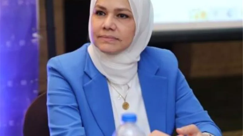 رئيس مصلحة الضرائب:تطبيق منظومة ميكنة إجراءات العمل الضريبي 