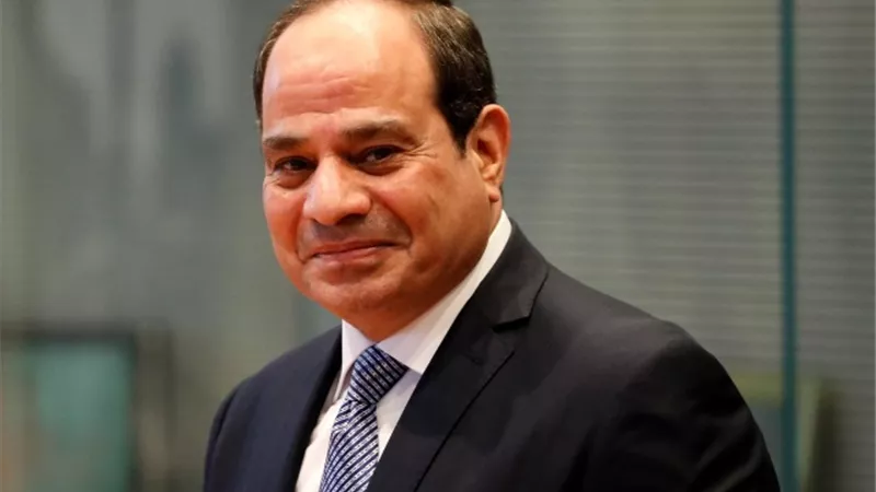 الخارجية توثّق عقدًا من الإنجازات فى كتابين تقدمهما للرئيس السيسى