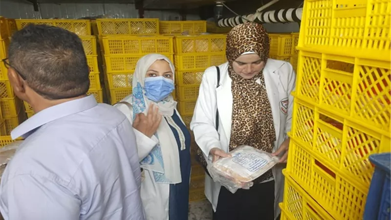 ضبط 15 طن بط ودواجن منتهية الصلاحية بالشرقية
