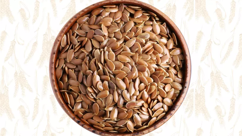 بذور الكتان.. سر طبيعي لإنقاص الوزن ودعم الصحة