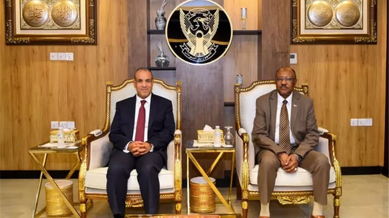 وزير الخارجية يشدد على ضرورة الالتزام بالقانون الدولي في حوض النيل الشرقي