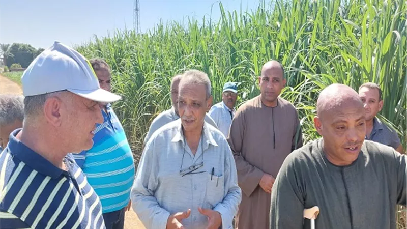 وفد الزراعة يتفقد جهود مكافحة الآفات بالأقصر