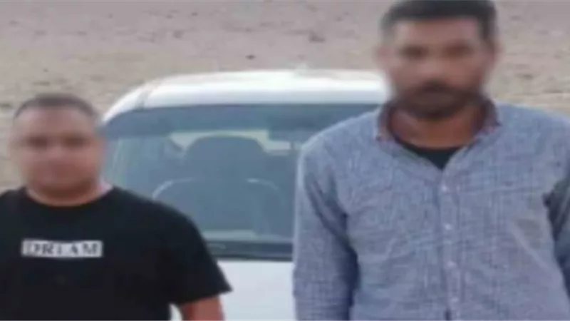 تفاصيل واقعة تسمم مجموعة من الكلاب في الهرم