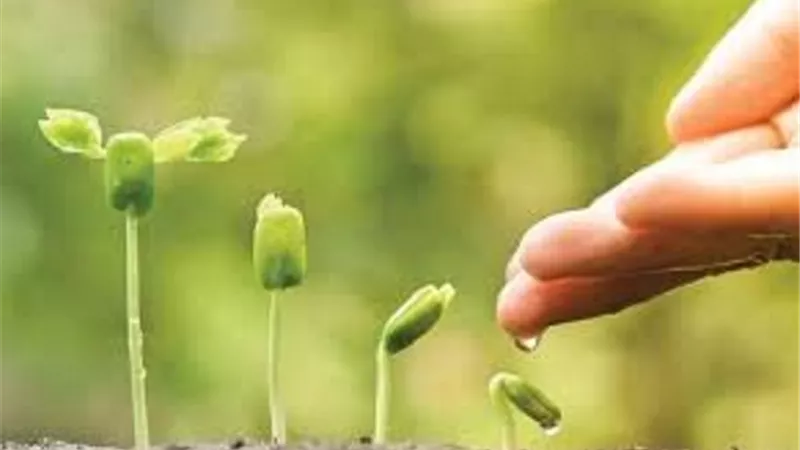 حكم إخراج الزكاة لتوصيل المياه للقرى الفقيرة والمناطق المُعدمة