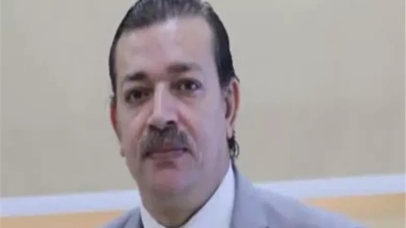 وكيل 