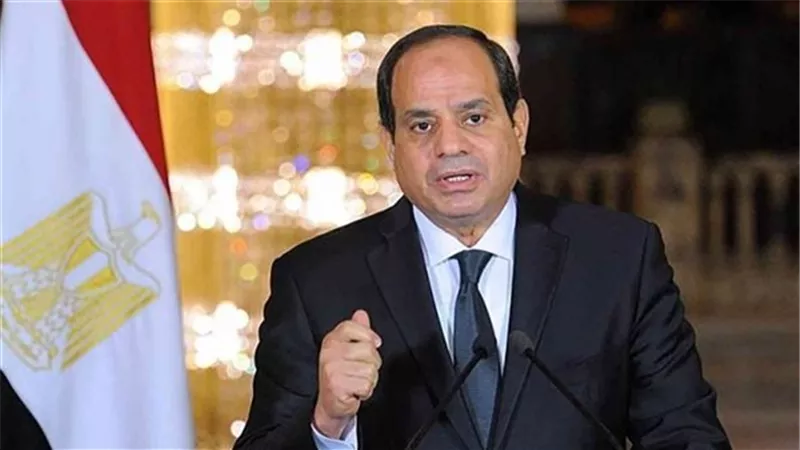 السيسي يوجه بالإسراع في استكمال التغذية الكهربائية لـ«الدلتا الجديدة»