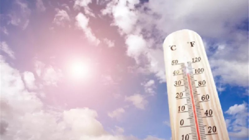 الأرصاد: طقس خريفي معتدل صباحًا وحار نهارًا اليوم الإثنين 6 أكتوبر