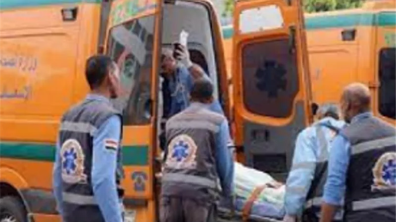 إصابة 5 باختناق بمبيد حشري في الداخلة بالوادي الجديد