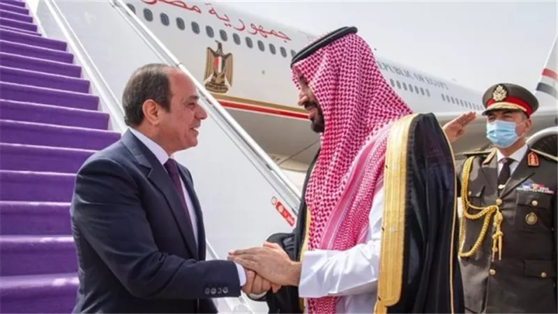 اهتمام حثيث بالأشقاء.. ثلث الزيارات الخارجية للرئيس السيسي كانت للمنطقة العربية