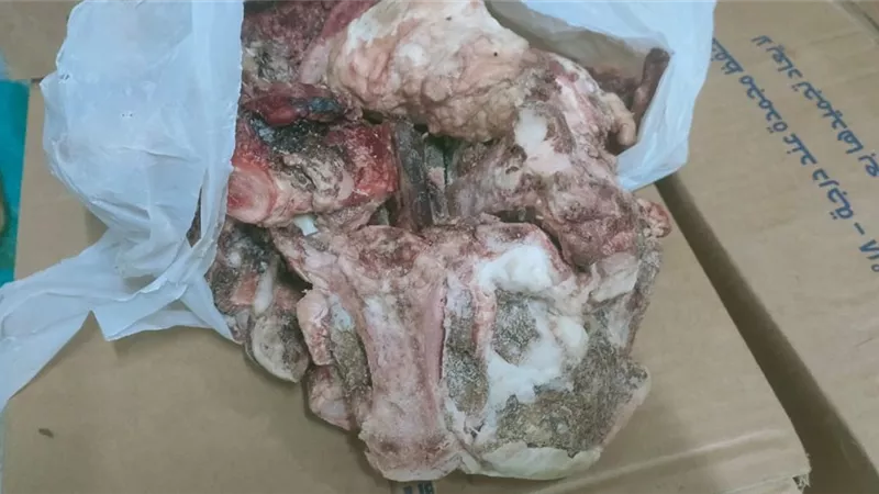ربع طن لحوم وأسماك ودواجن مجمدة منتهية الصلاحية بمدينة الأقصر