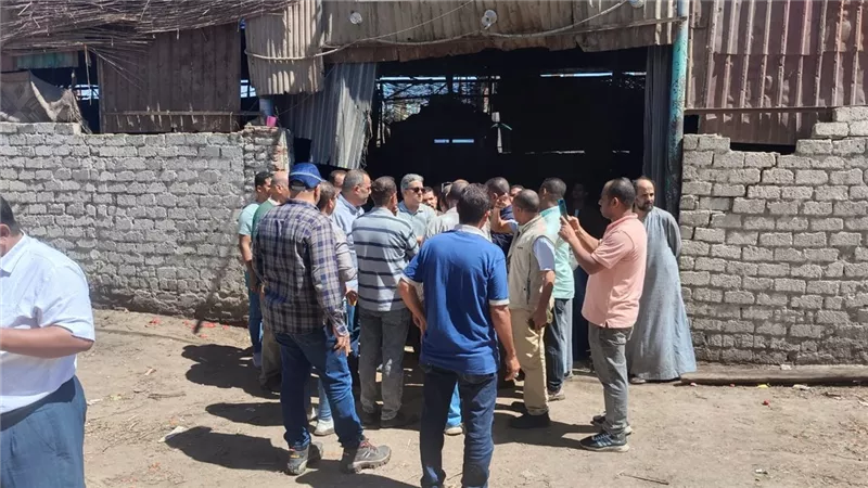 وفد وزارة التنمية المحلية يتفقد سوق إسنا للخضار والفاكهة بالأقصر