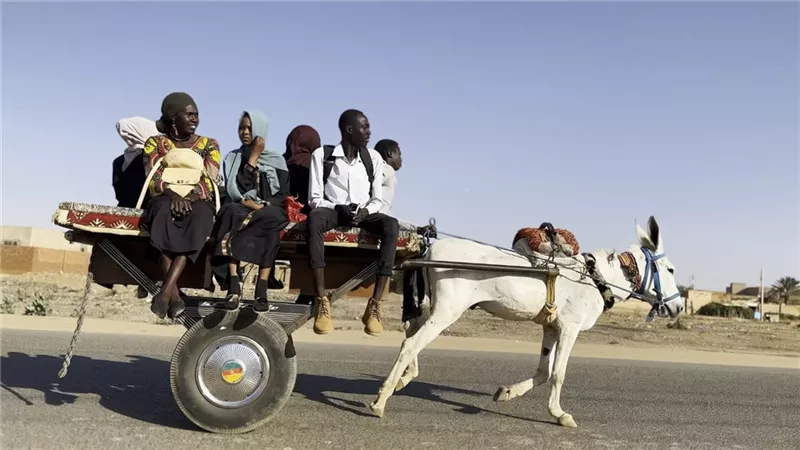 أصداء السودان تتردد في مهرجان الدوحة بعرض للأفلام والموسيقى الحيّة
