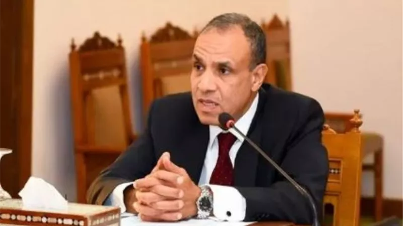 وزير الخارجية: فوز العنانى كأول عربي وثاني أفريقي و يعكس موقع مصر الريادي