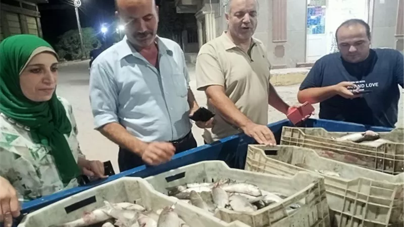 ضبط اسماك غير صالحة للاستهلاك الآدمي بمركز مطوبس