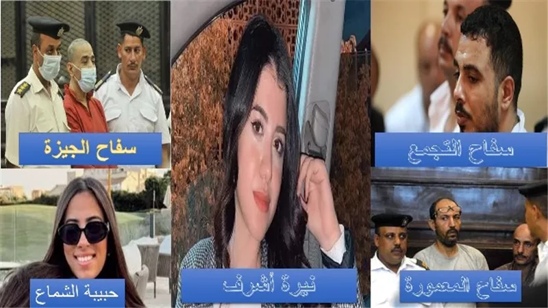 قضايا أثارت الرأى العام فى خمس سنوات سابقة