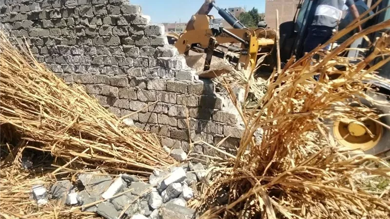 أسيوط: إزالة 41 حالة تعد واسترداد 582 فدان أملاك دولة بـ8 مراكز