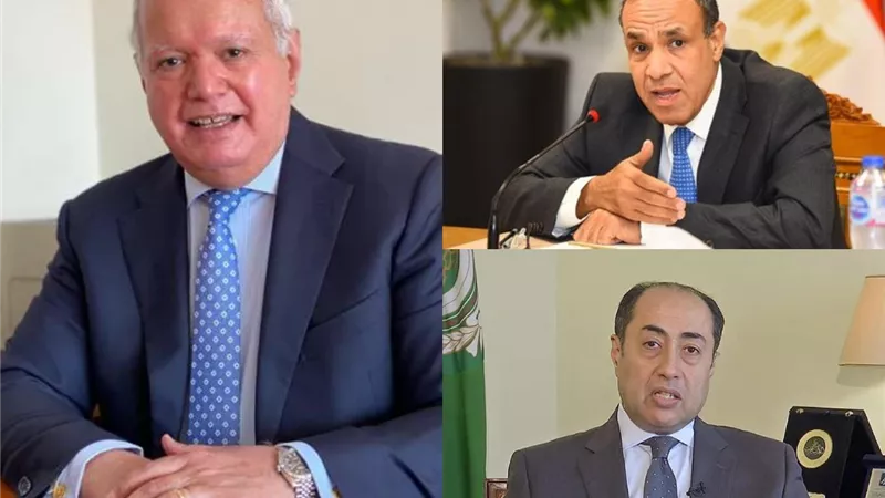 سفراء ودبلوماسيون: تصريحات الرئيس السيسي تحمل رسالة قوية .. معبرة عن السياسة المصرية