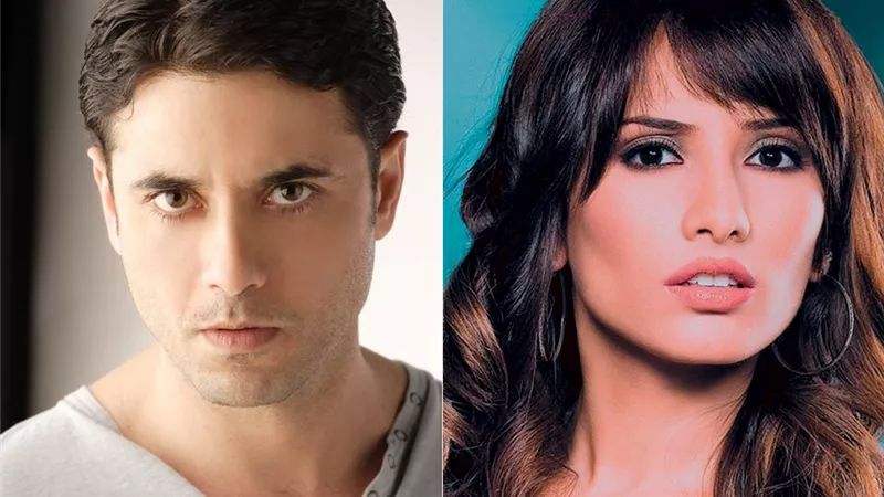 تأجيل دعوى الفنانة زينه ضد أحمد عز لزيادة النفقة