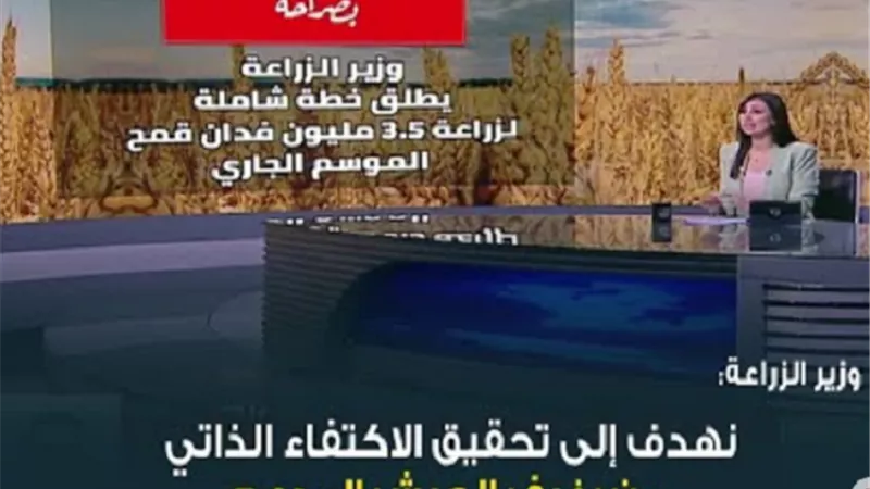 وزير الزراعة: الدولة نجحت في تحقيق نحو 60% من الاكتفاء الذاتي من القمح