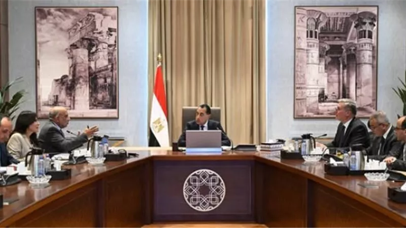 رئيس الوزراء يتابع الموقف التنفيذي لمشروعات الطاقات المتجددة