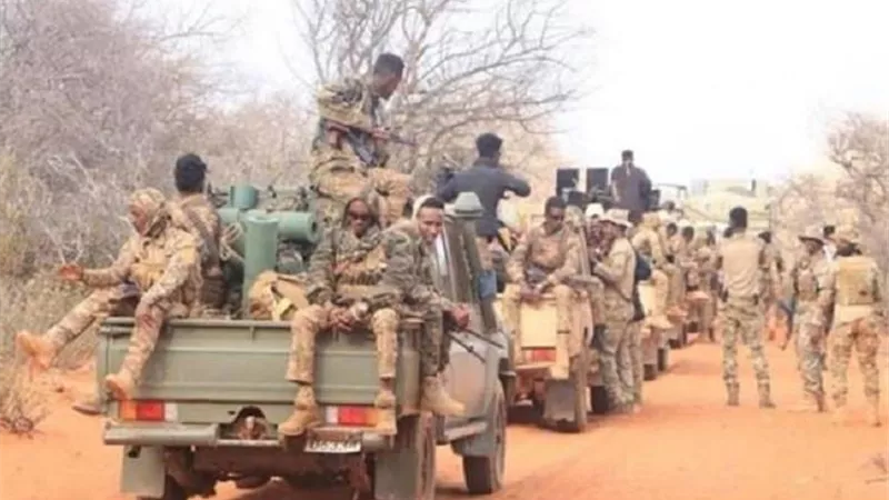 الجيش الصومالي يلقي القبض على اثنين من عناصرِ الإرهابيين في أفغوي