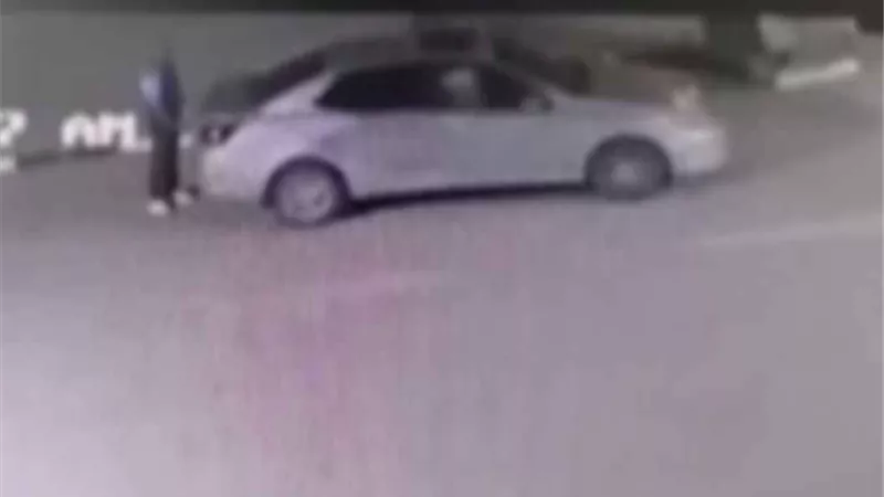 ضبط قائد سيارة نقل ذكى لوضعه طعاما مسمما للكلاب الضالة بالجيزة