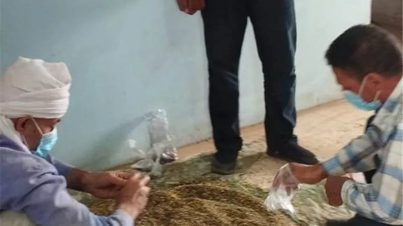 انطلاق فعاليات حملة مكافحة القوارض بالشرقية
