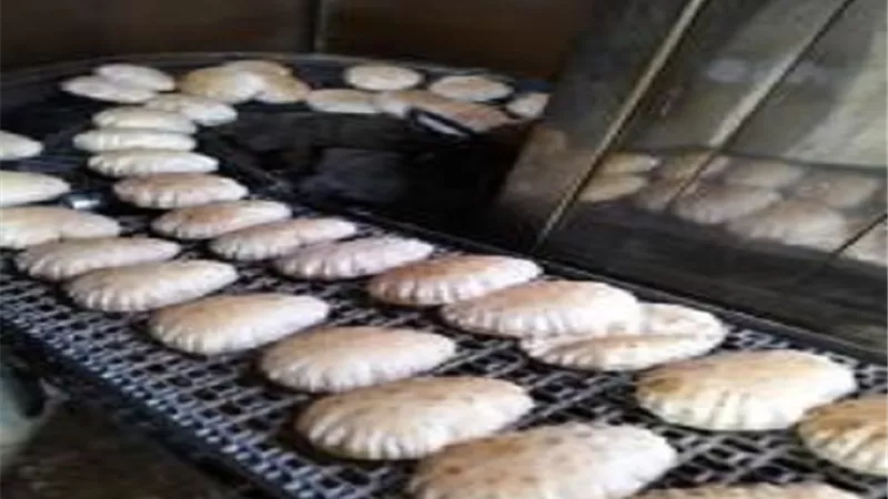 حملات تموينية بكفرالشيخ
