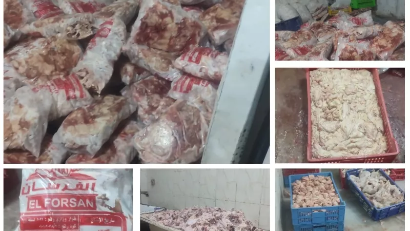 ضبط 4 طن هياكل دواجن وكبدة فاسدة في حملة تموينية بالقليوبية