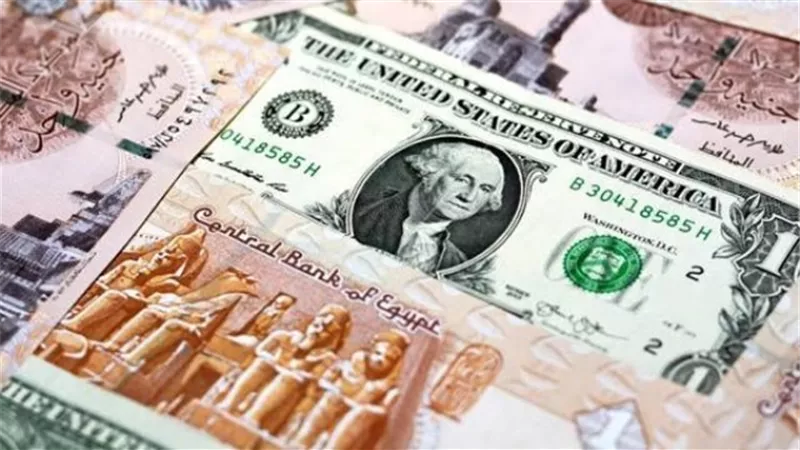 سعر الدولار في البنك الأهلي المصري مقابل الجنيه