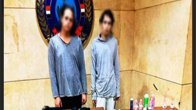 ضبط شخصين يروّجان لملابس نسائية وأعمال منافية للآداب عبر الإنترنت