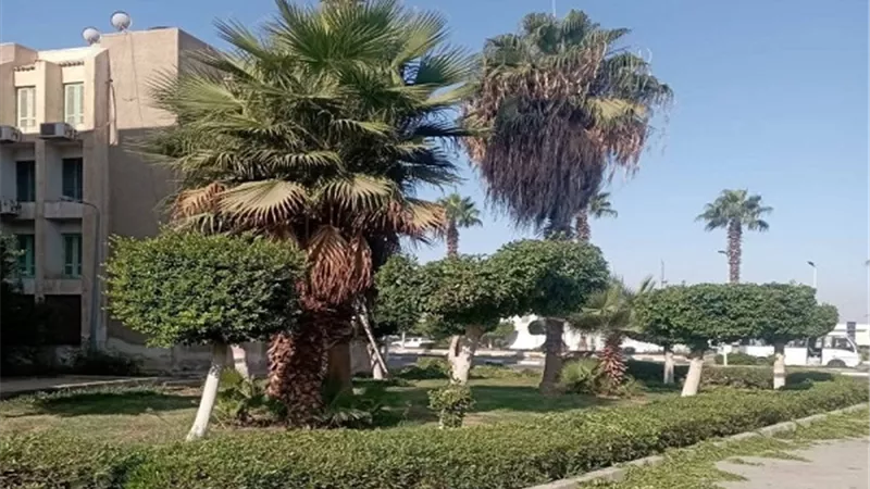 جهاز مدينة العبور يواصل أعمال صيانة وتجميل المسطحات الخضراء