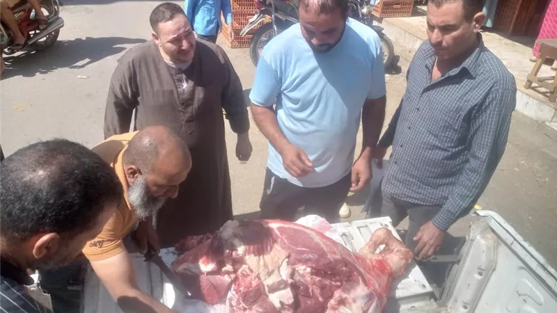 تحرير 272مخالفة تموينية وضبط سلع مدعمة قبل بيعها في السوق السوداء