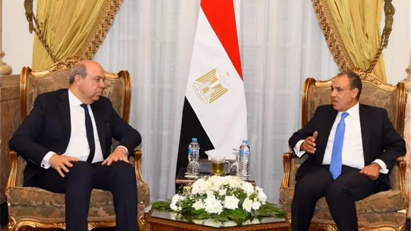 وزير الخارجية يؤكد استمرار مصر في تقديم الدعم الفني للدول الإفريقية والعربية