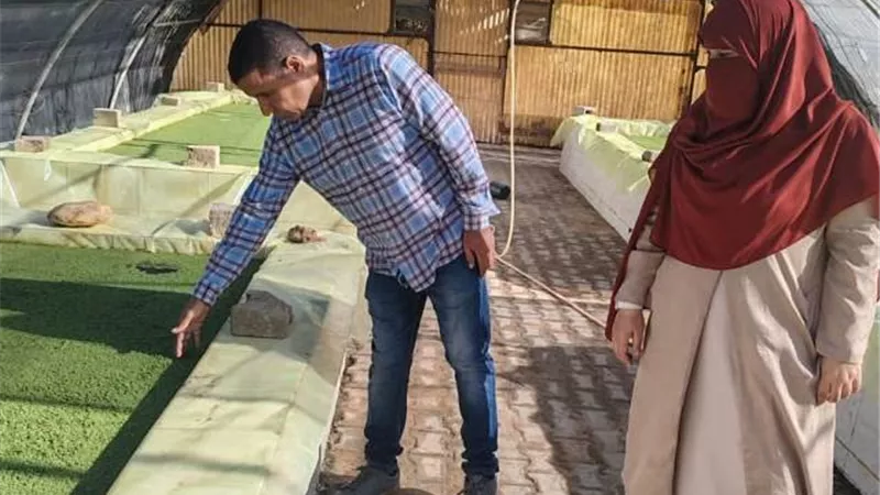 الازولا مشروع واعد ينطلق من جنوب سيناء لتحقيق الاكتفاء فى الأعلاف