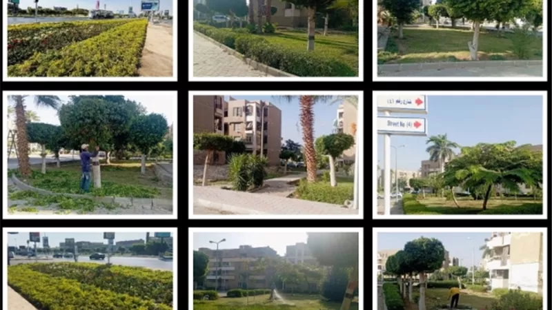 استمرار أعمال تطوير وتجميل المسطحات الخضراء بمحور العبور