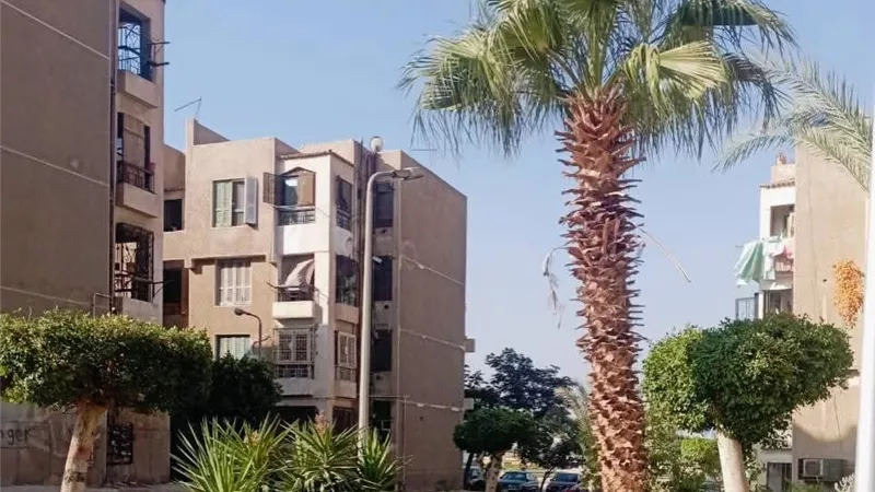 جهاز العبور يواصل خطة تطوير المسطحات الخضراء والأحياء السكنية