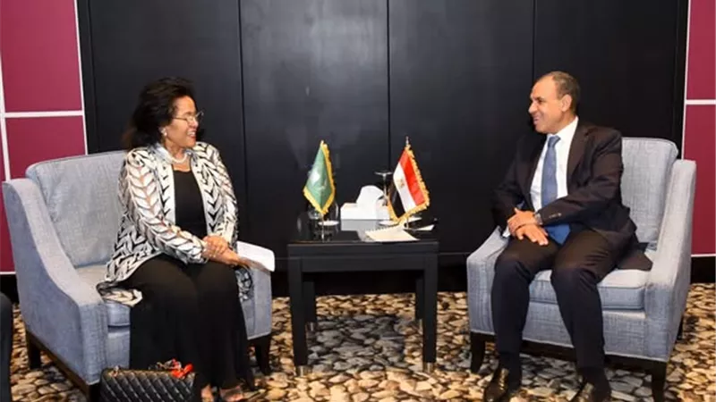 وزير الخارجية: مصر تتطلع لمزيد من التعاون المثمر مع 