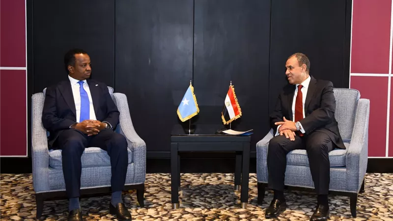 وزير الخارجية يبحث مع نظيره الصومالي ترتيبات نشر القوات المصرية في بعثة الاتحاد الإفريقي