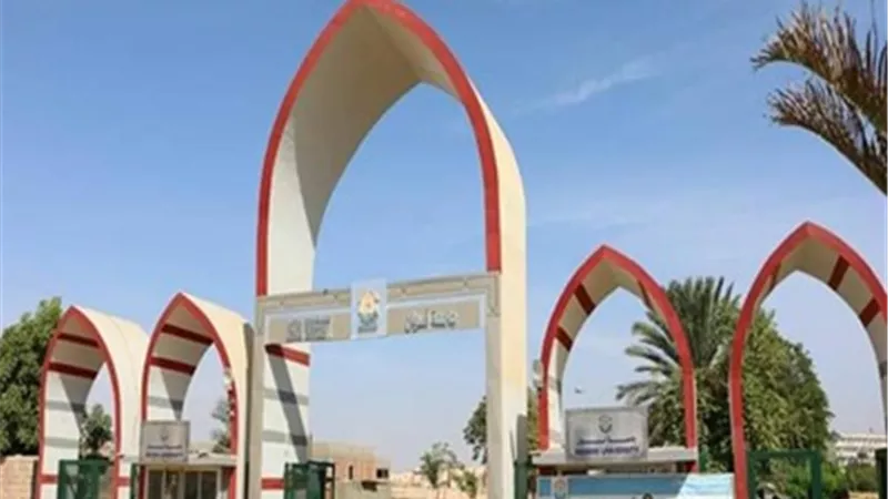 أبوالليل عميداً لكلية الزراعة والموارد الطبيعية بجامعة أسوان