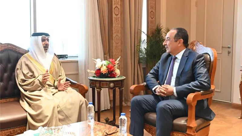 سفير الإمارات يبحث مع وزير قطاع الأعمال تعزيز التعاون الاقتصادي